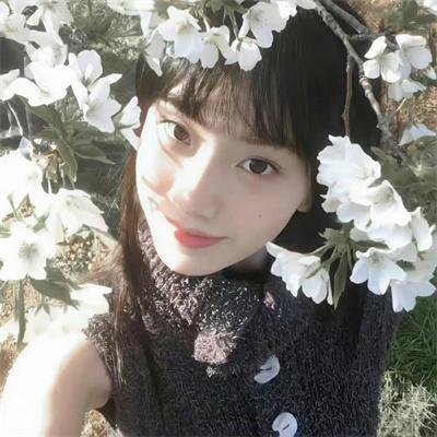 廉政英雌之火槍柔情国语
