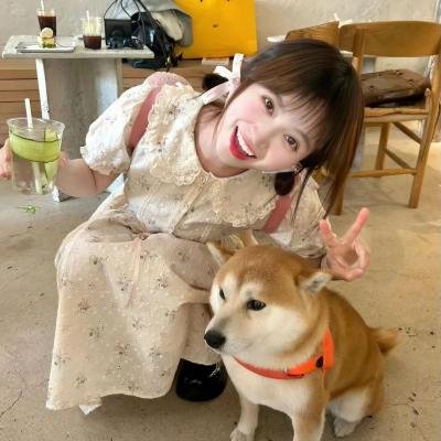 进击的沐小姐